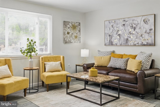 sitting room with wood finished floors, plenty of natural light, and baseboards