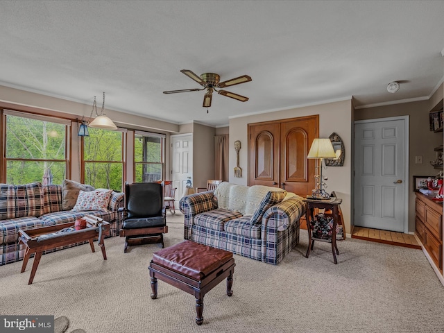 326 Doe Gully Rd, Great Cacapon, WV 25422 - living area featuring light carpet, a ceiling fan, and ornamental molding