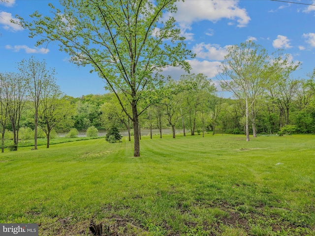 326 Doe Gully Rd, Great Cacapon, WV 25422 - view of yard