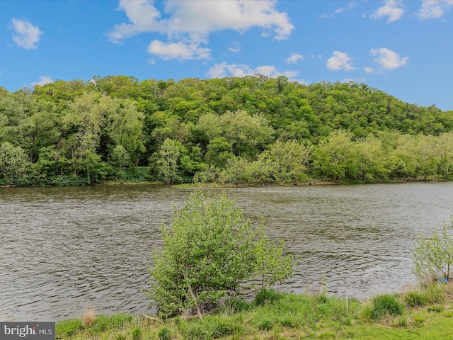 326 Doe Gully Rd, Great Cacapon, WV 25422 - property view of water with a view of trees