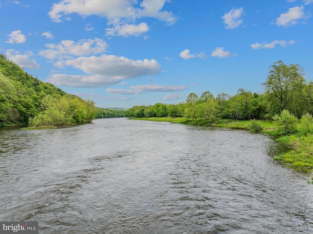 326 Doe Gully Rd, Great Cacapon, WV 25422 - property view of water with a wooded view