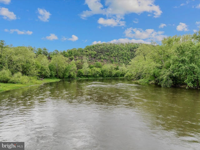 326 Doe Gully Rd, Great Cacapon, WV 25422 - water view featuring a forest view