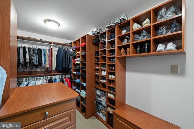 4064 Howell Rd, Malvern, PA 19355 - walk in closet featuring carpet flooring