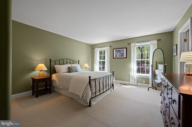 4064 Howell Rd, Malvern, PA 19355 - bedroom with baseboards and light colored carpet