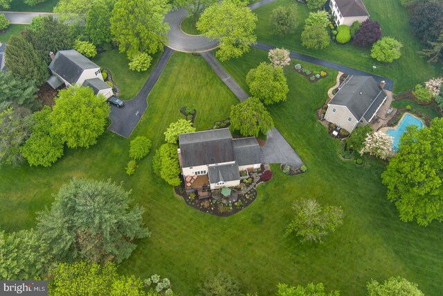 bird's eye view
