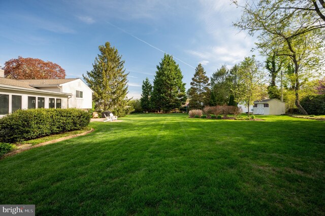 view of yard