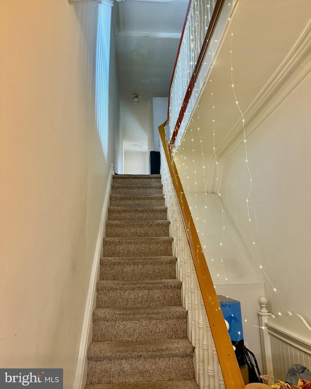 staircase with carpet floors