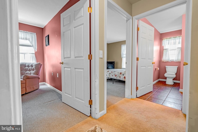 4741 Dunham Dr, Reading, PA 19606 - corridor with baseboards, a healthy amount of sunlight, and carpet