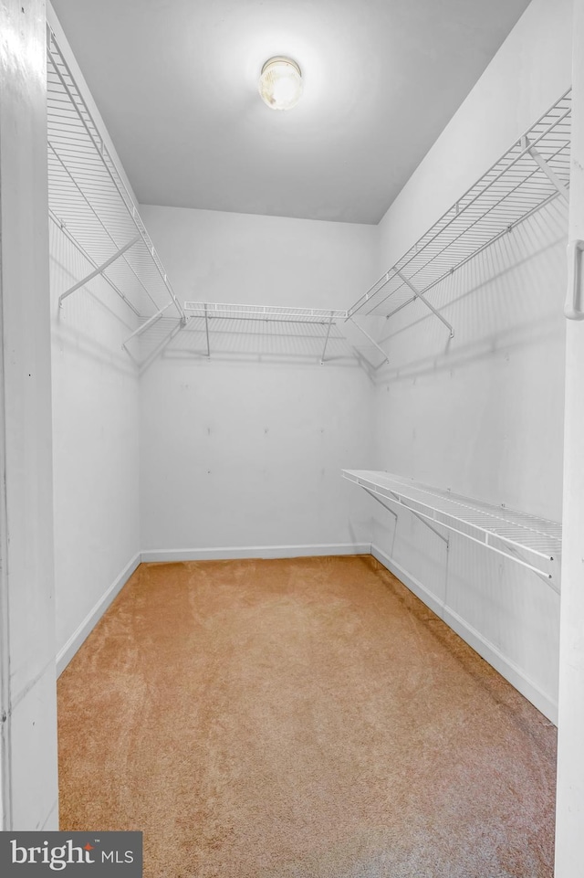 4741 Dunham Dr, Reading, PA 19606 - walk in closet with carpet