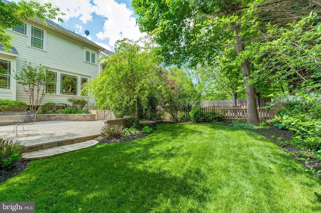 view of yard featuring a patio
