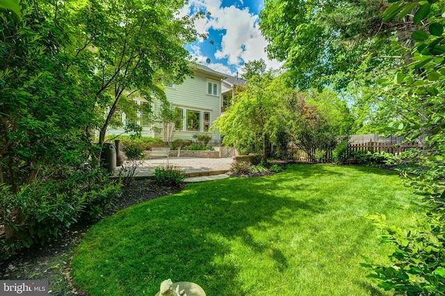 view of yard with a patio