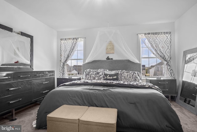 carpeted bedroom with multiple windows