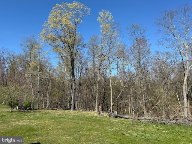 view of yard featuring a wooded view