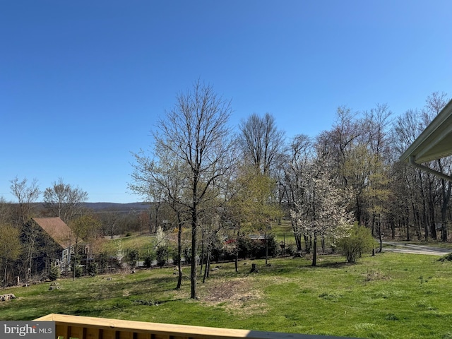 view of yard