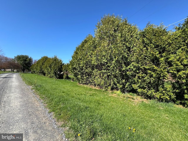 view of road