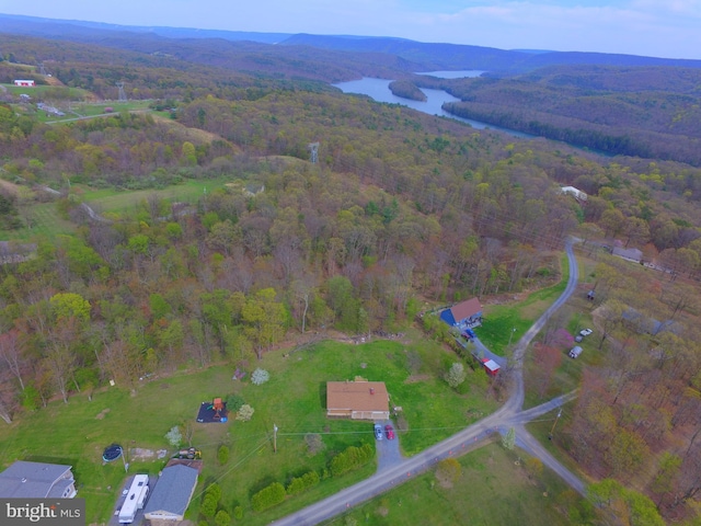 birds eye view of property with a water view and a forest view