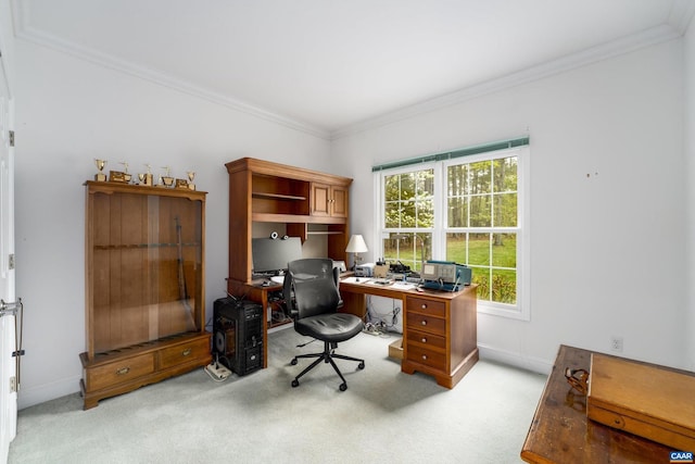 carpeted home office featuring crown molding and baseboards