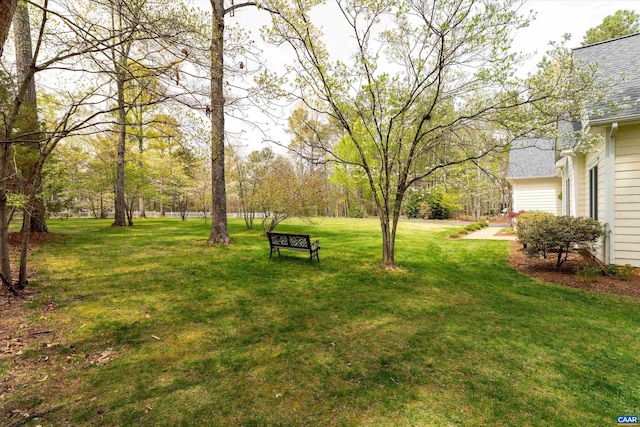 view of yard