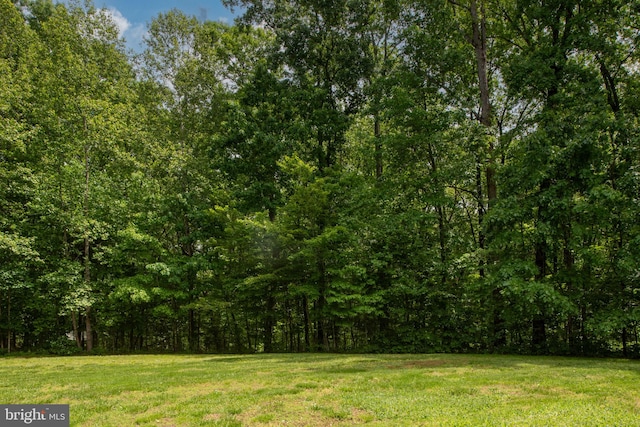 168 Sequester Dr, Stafford, VA 22556 - view of grassy yard with a forest view