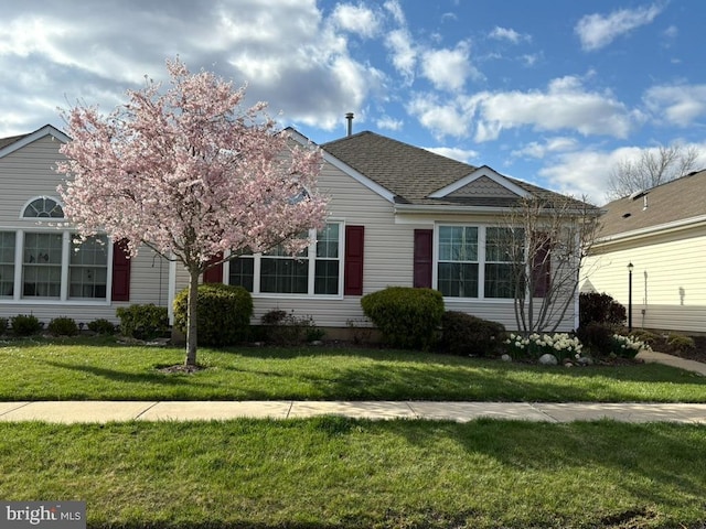 view of front of home featuring a front lawn and roof with shingles