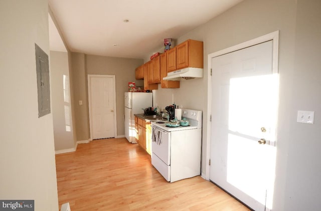 kitchen with electric panel, light wood-style floors, under cabinet range hood, and white appliances