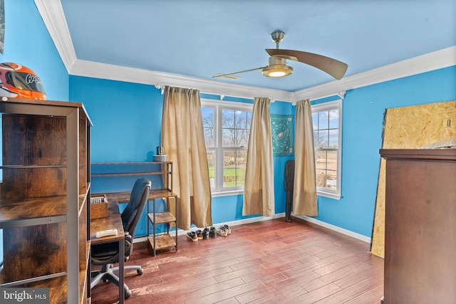 office space with baseboards, ornamental molding, ceiling fan, and wood finished floors