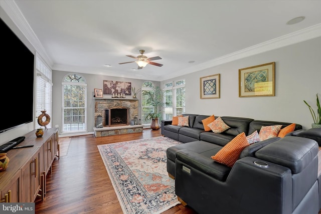 living area with dark wood-type flooring, a wealth of natural light, crown molding, and a ceiling fan