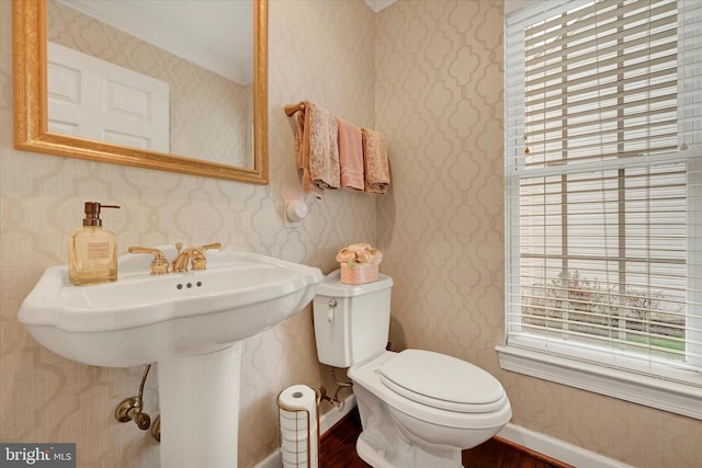 bathroom featuring wood finished floors, a wealth of natural light, toilet, and ornamental molding