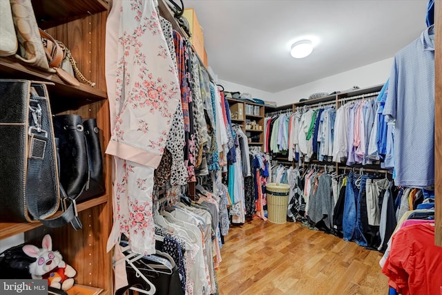 walk in closet with wood finished floors