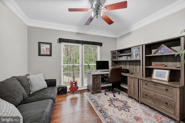 office with wood finished floors, a ceiling fan, and crown molding
