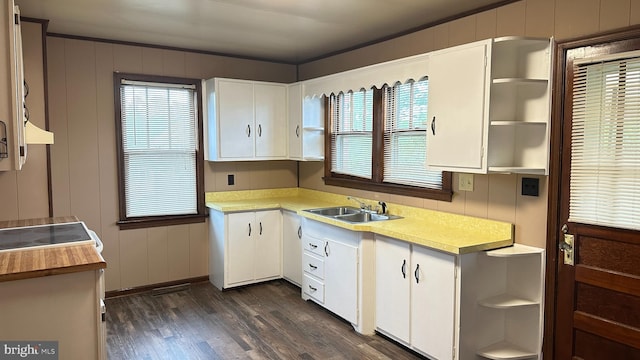 kitchen with a wealth of natural light, open shelves, and dark wood finished floors