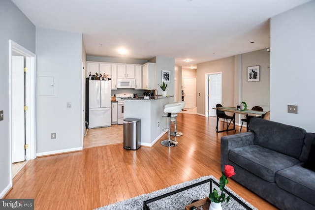 living area featuring baseboards and light wood finished floors