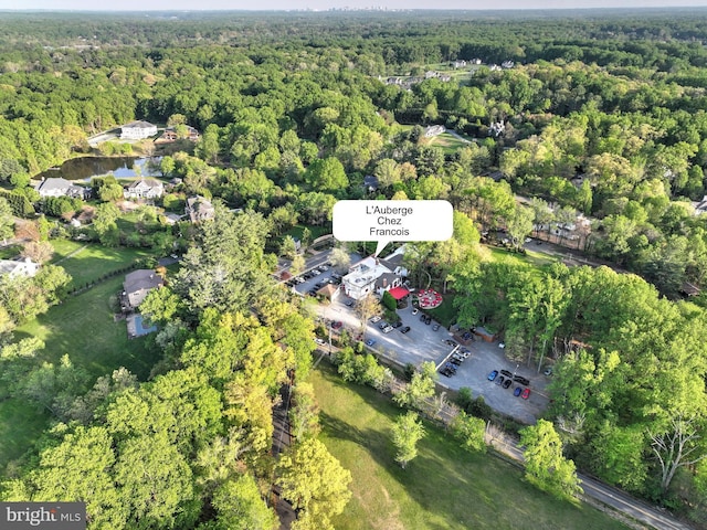 317 Springvale Rd, Great Falls, VA 22066 - aerial overview of property's location featuring a heavily wooded area