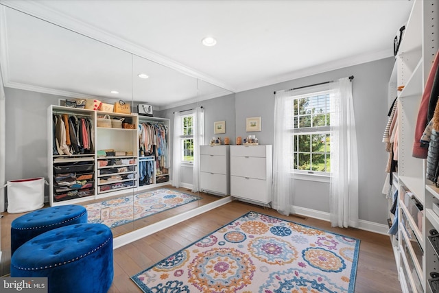 spacious closet with hardwood / wood-style floors