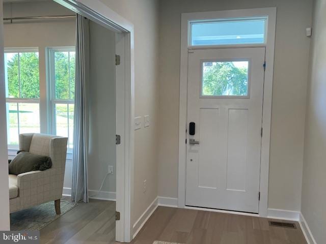 entryway featuring baseboards, wood finished floors, and plenty of natural light