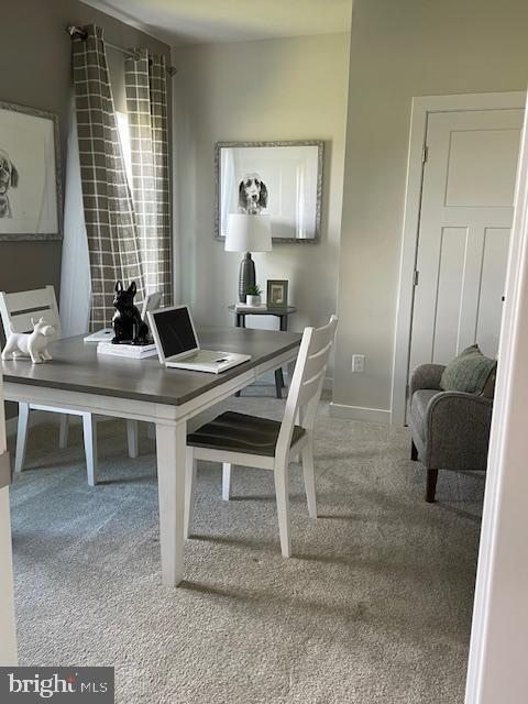 home office featuring carpet and baseboards