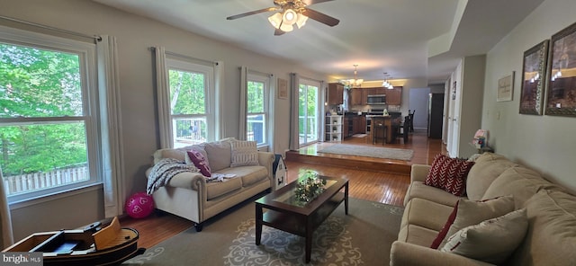living room featuring wood finished floors and ceiling fan with notable chandelier