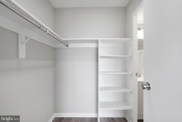 spacious closet with wood finished floors