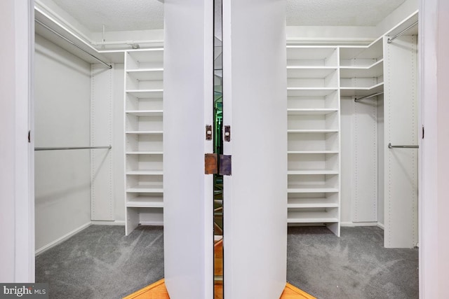 walk in closet featuring carpet