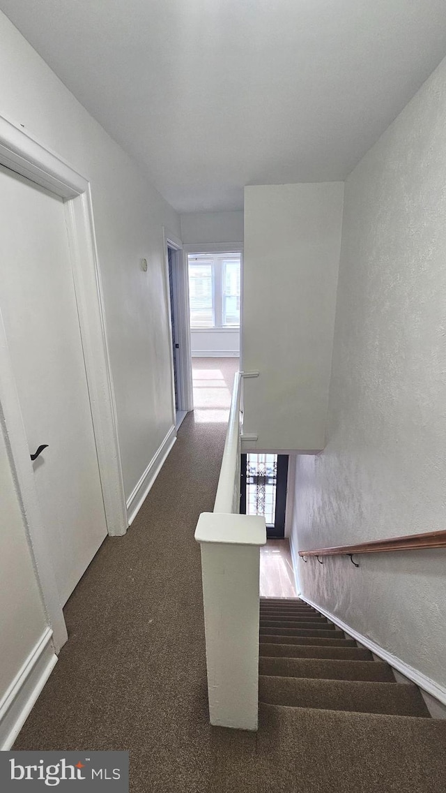 stairway with baseboards, carpet flooring, and a textured wall