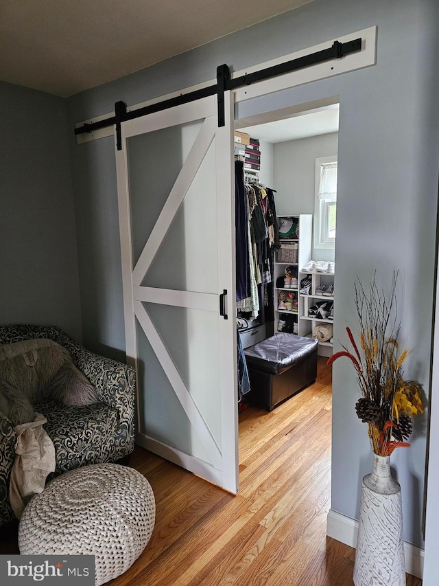 walk in closet featuring a barn door and light wood finished floors