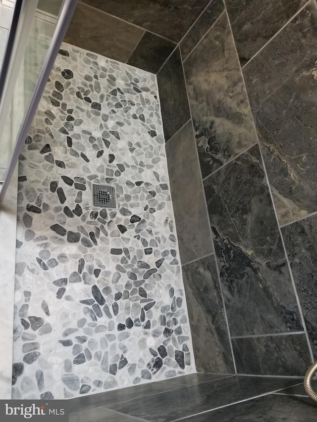 interior details with walk in shower