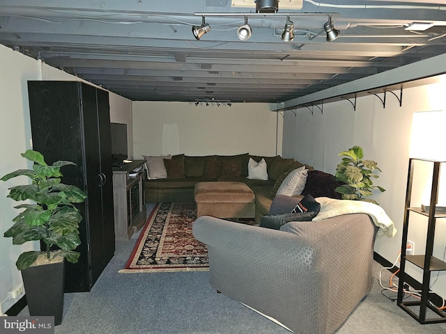 basement featuring carpet