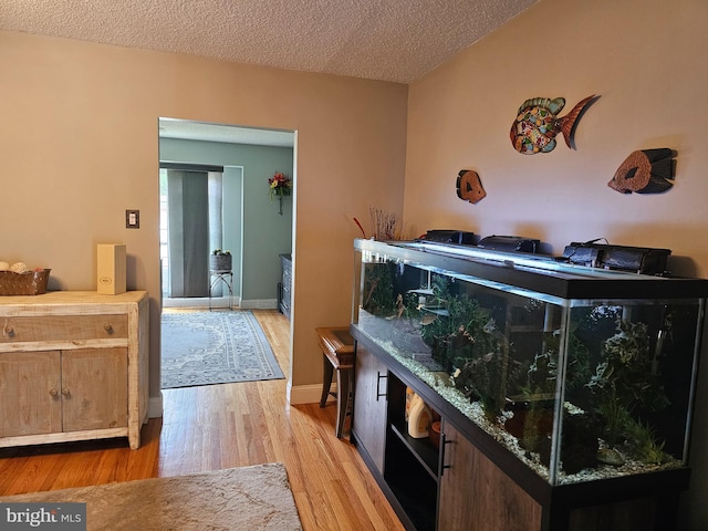 interior space featuring baseboards, light wood-style floors, and a textured ceiling