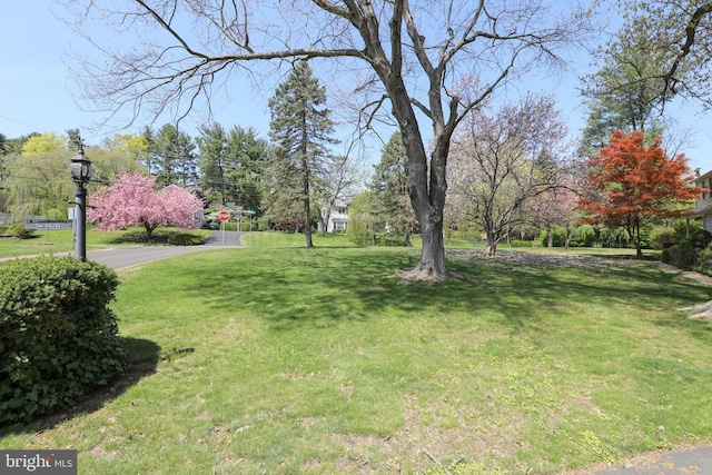 72 Bennett Dr, Doylestown, PA 18901 - view of yard