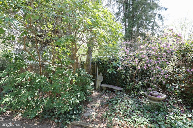 72 Bennett Dr, Doylestown, PA 18901 - view of nature