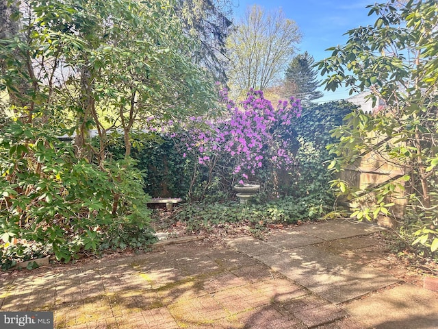72 Bennett Dr, Doylestown, PA 18901 - view of yard with a patio