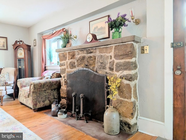 living area featuring wood finished floors and a fireplace