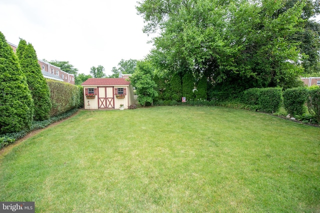 view of yard featuring an outdoor structure and a shed