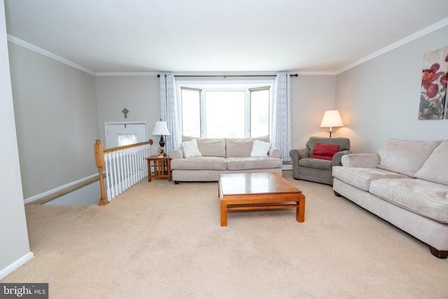 living room featuring crown molding and carpet flooring